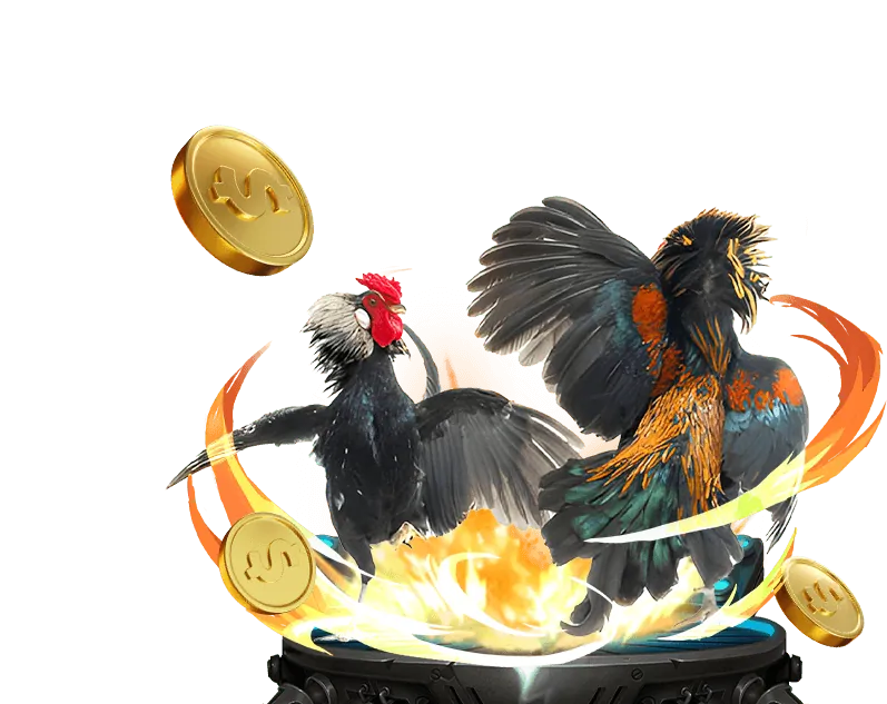 Cá cược thể thao điện tử tại đá gà trực tiếp trường 67